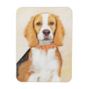 Recherche de de beagle magnets Mignon