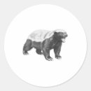 Recherche de blaireau autocollants Faune