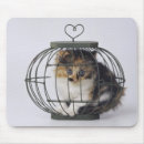 Recherche de cage tapis souris Animal