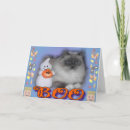 Zoek naar spook kaarten Katten