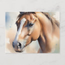 Recherche de portrait cheval blanc cartes postales Tête
