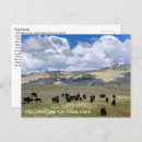 Recherche de yellowstone cartes postales Wyoming