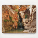 Recherche de grand canyon tapis souris Désert