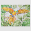 Zoek naar papegaai tissue papier Palm