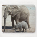 Recherche de éléphant bébé tapis souris Mère