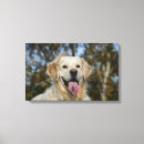 Recherche de capture impressions sur toile Bob et pam langrish