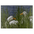 Recherche de canard planches à découper Nature