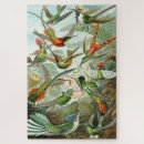 Recherche de hummingbird puzzles Oiseaux