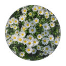 Recherche de marguerites planches à découper Été