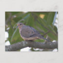 Recherche de colombie cartes postales Photographie