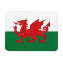 Recherche de gallois magnets Drapeau