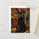 Recherche de chat sur une chaise cartes postales Mignon