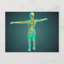 Zoek naar menselijke huid briefkaarten Geneeskunde