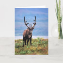 Recherche de caribou vœux cartes Alaska