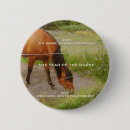 Zoek naar paarden buttons Dier