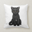 Recherche de chat doux coussins Chaton