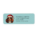 Recherche de cha chapeaux Chapeau santa