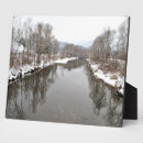 Zoek naar boom fotoplaat Sneeuw