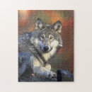 Recherche de loup gris puzzles Chien