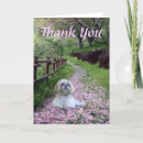 Recherche de shihtzu vœux cartes Shitzu