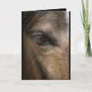 Zoek naar zwart wit paard kaarten Portret