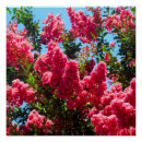 Recherche de pink flower posters Floral