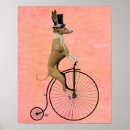 Recherche de lévrier posters Bicyclette