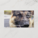 Recherche de image de chien cartes visite Berger allemand
