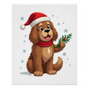 Recherche de chien terre neuve posters Animal