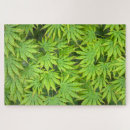 Recherche de érable puzzles Japonais