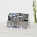 Recherche de funny goat Humor