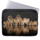 Zoek naar leeuwen hoesjes Afrika