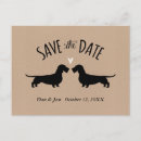 Recherche de poil cartes postales Dachshund