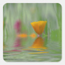 Recherche de peinture murale autocollants Fleur