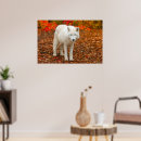 Recherche de esprit loup posters Faune