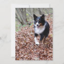 Recherche de cul vœux cartes Dog