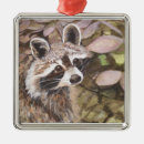 Zoek naar wasbeer ornamenten Racoon