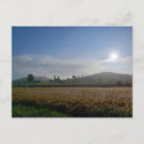 Recherche de brumeux cartes postales Matin