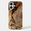 Recherche de de porc iphone coques Agriculture