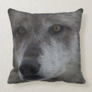 Recherche de loup sauvage coussins Gris