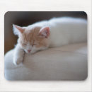 Recherche de fatigué tapis souris Chaton