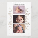 Recherche de de rose faire part naissance Blanc