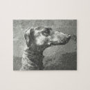 Zoek naar windhond puzzels Whippet