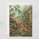 Recherche de plantes invitations Pour tous