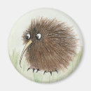 Recherche de kiwis magnets Oiseau