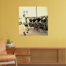 Zoek naar witte paarden posters For him