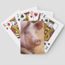 Recherche de porcs jeux de cartes Animaux de ferme