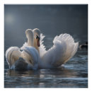 Recherche de métallique posters Mur