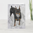Recherche de dobx vœux cartes Pinscher