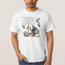 Recherche de fae vêtements Elfe